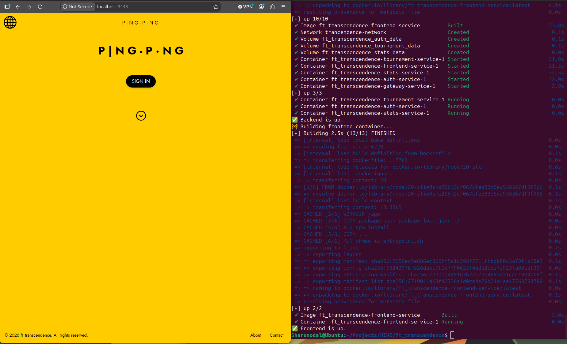 The Ping-P.ng landing page beside terminal output showing the containerized frontend and backend services starting successfully.